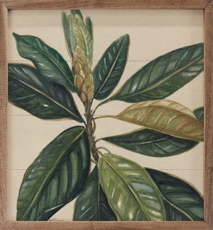 Magnolia Leaves II By Carol Robinson